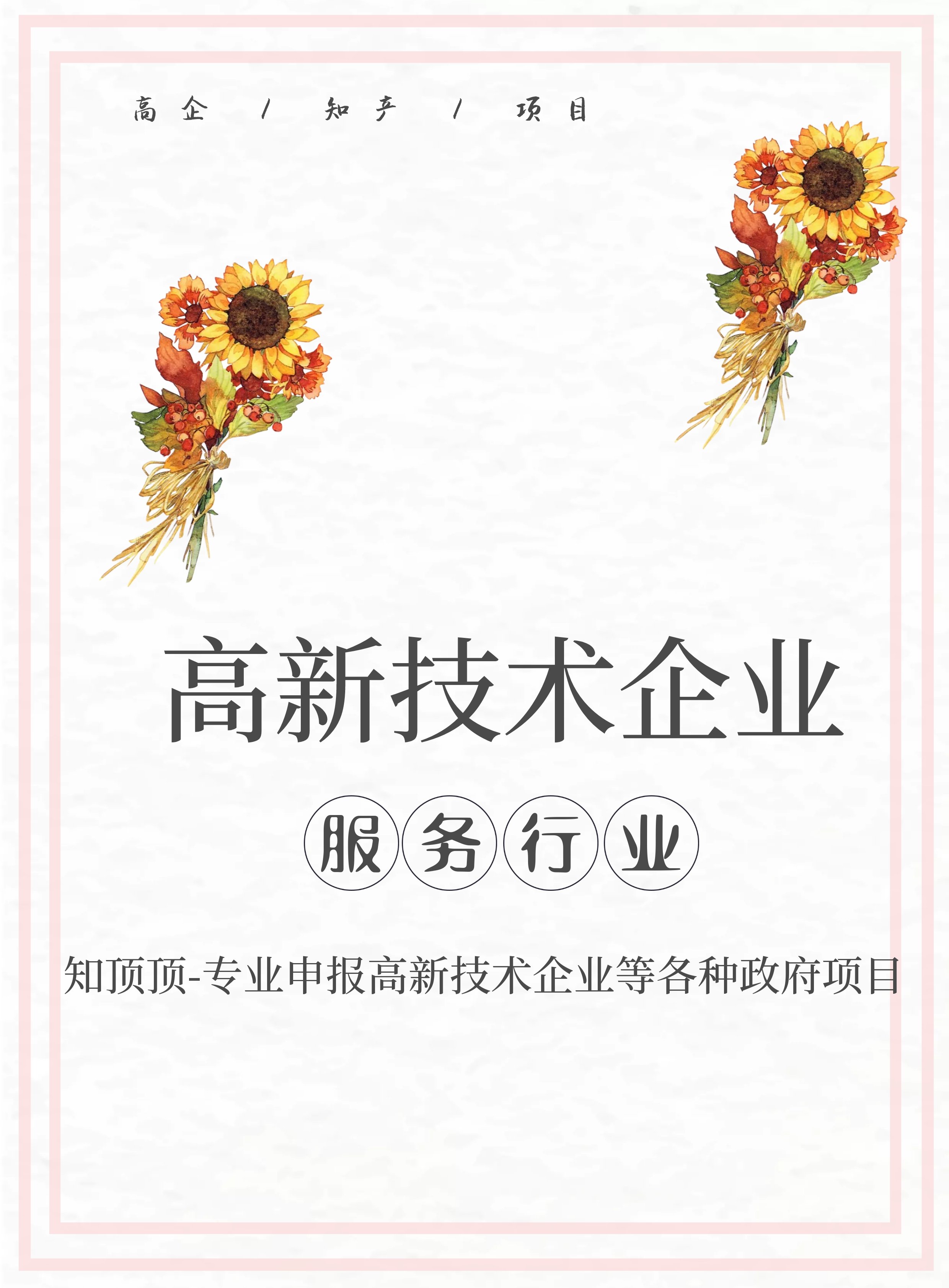 揭秘高新技术企业中的服务业